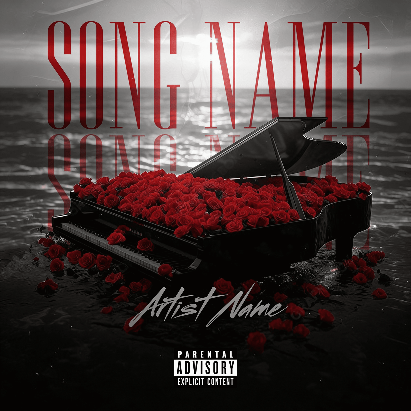 The Last Sonata — Cover art